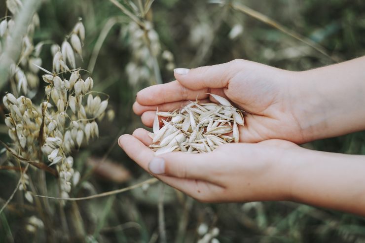 Come fare uno shampoo naturale 