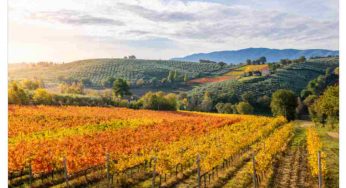 Cosa visitare in un perfetto week end d’autunno in Umbria: le tappe da non perdere