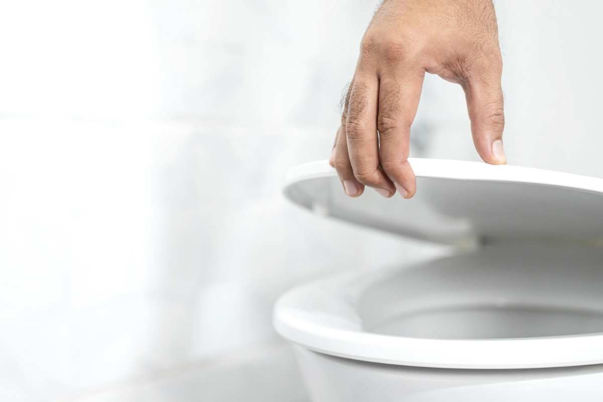 eliminare cattivi odori wc